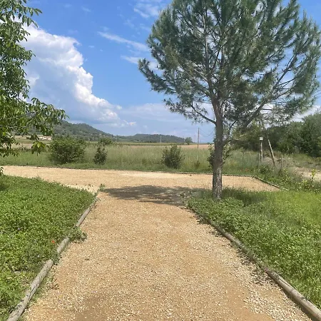 Sous Les Etoiles En Provence, Les Bambous Et Les Grands Chenes * Lurs
