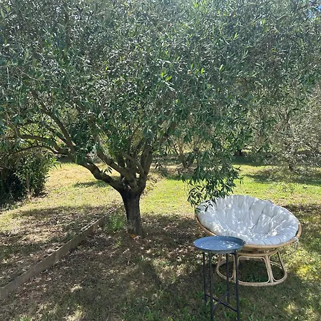 Holiday home Sous Les Etoiles En Provence, Les Bambous Et Les Grands Chenes Lurs