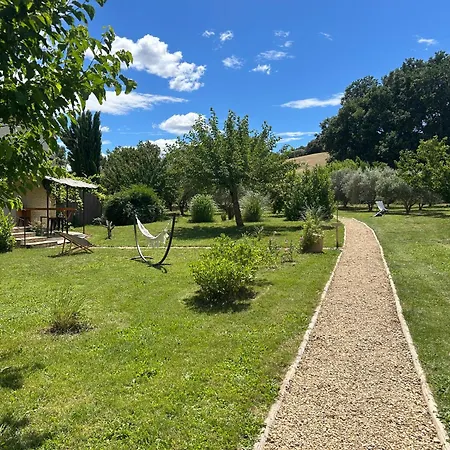 Sous Les Etoiles En Provence, Les Bambous Et Les Grands Chenes *